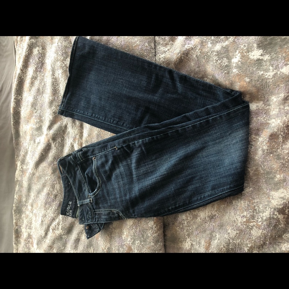 American Eagle Artist Flare Jean
